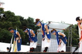 img0033.jpg